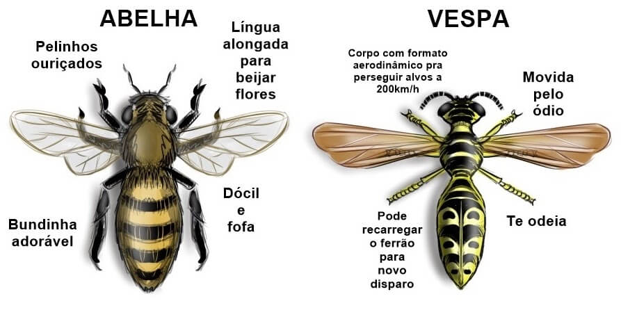 abelhas e vespas